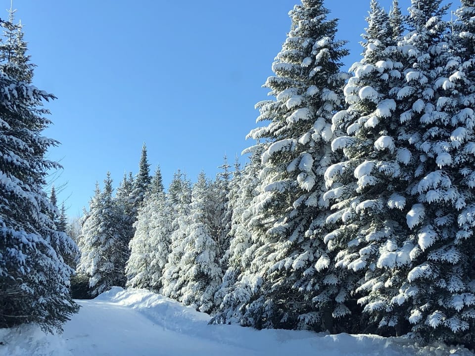 Winter driveway, at the end you will find a main trail that crosses driveway.