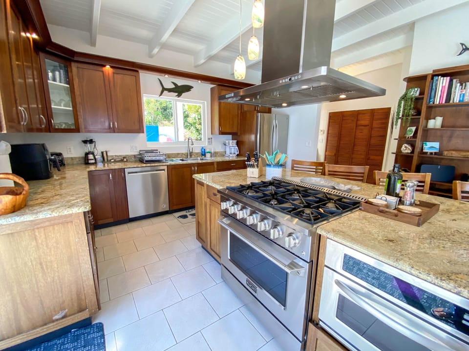 Open Concept Chef Style Kitchen 