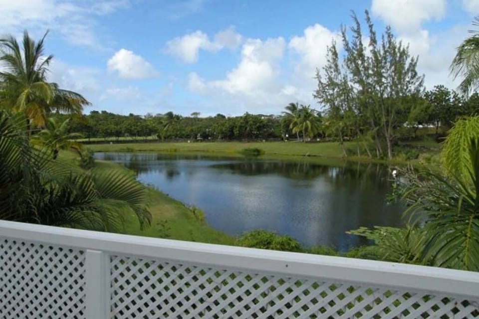 View from Patio