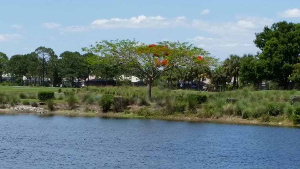 Golf course view
