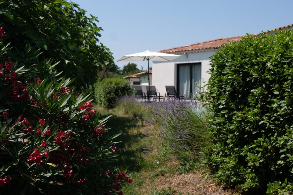 Holiday rental L'ISLE-SUR-LA-SORGUE, house to rent with all comfort, for 8 people. Online reservation with Plaisirs & Maisons de Provence