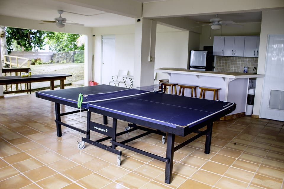 Entertainment Area with Ping Pong, Music, and Bar. Great for Lunch and Dinners!