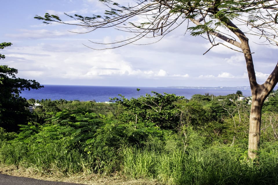 Front Porch View of Aguadilla (Airport) and Wilderness Surf Spot in Background