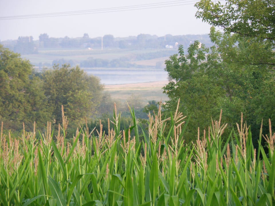 View from the walking path 