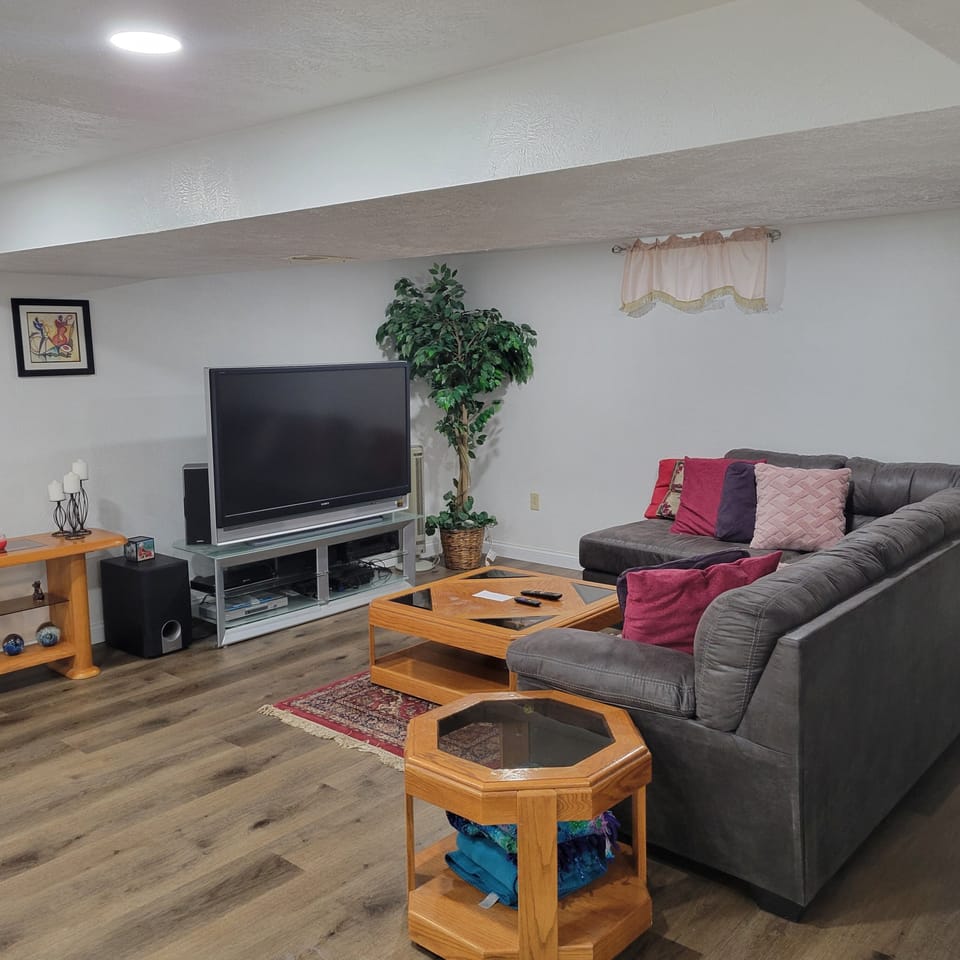 Basement family area