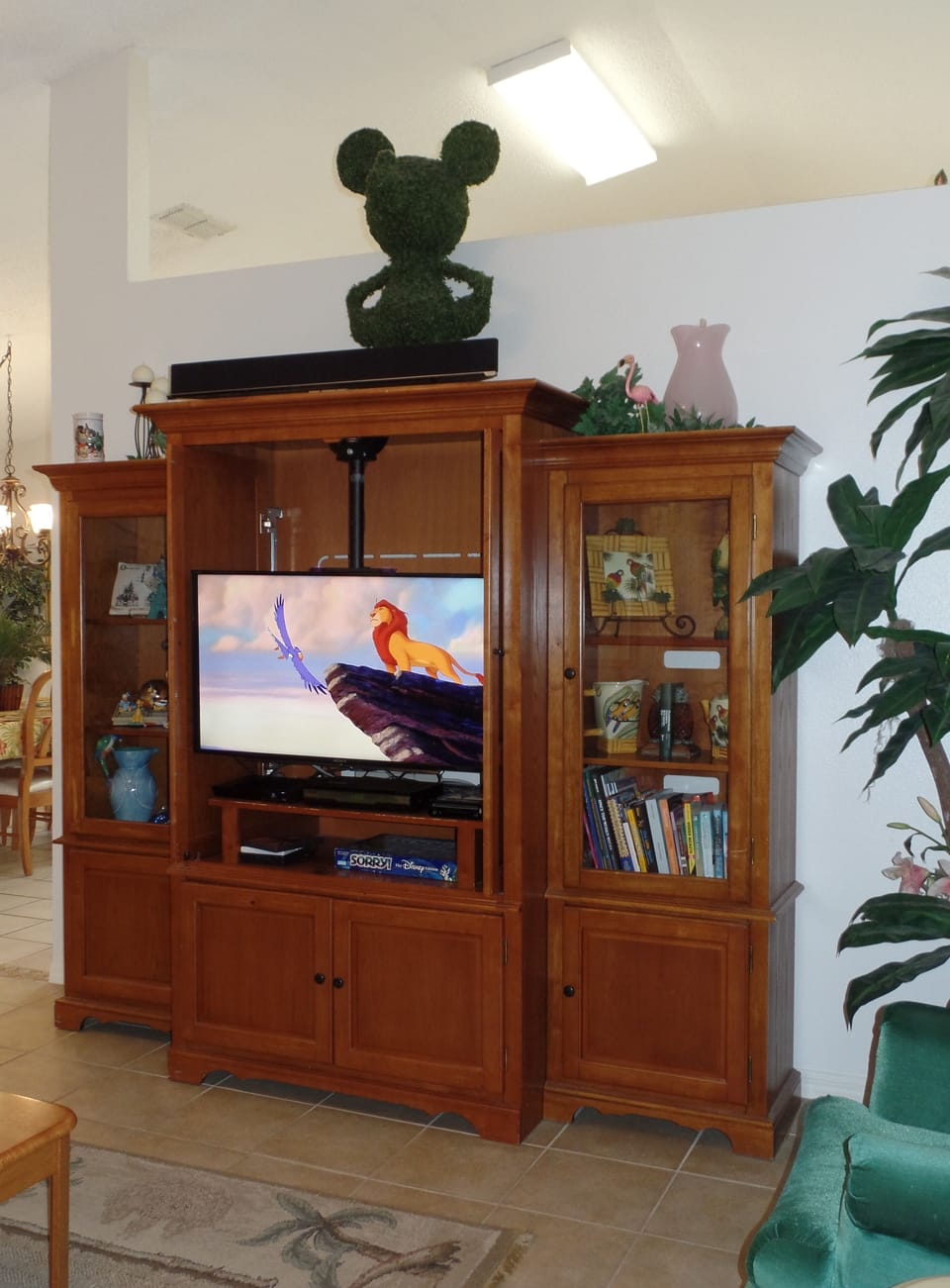 TV with sound bar, streaming blu-ray player, 100 videos, and Wii console games.