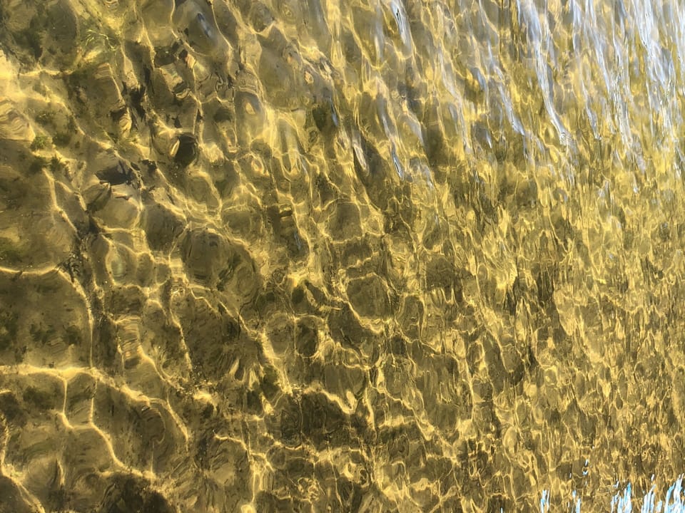 Lake has Crystal Clear Water with Sandy Bottom