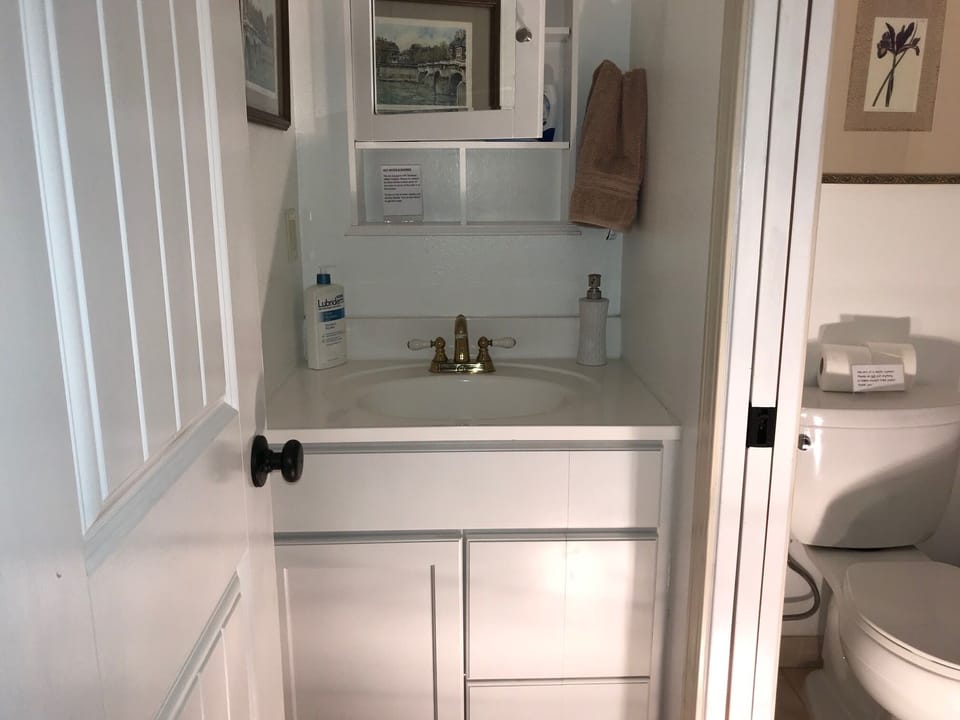 Ensuite bathroom with shower