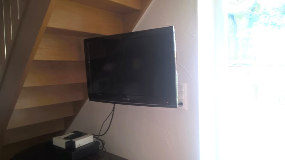 Television