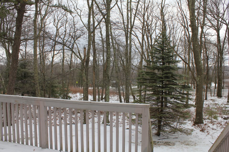 Deck view