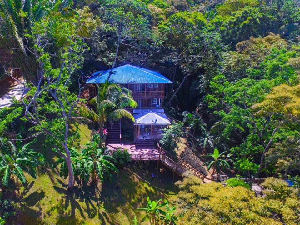 View of the Jungle Reef Inn