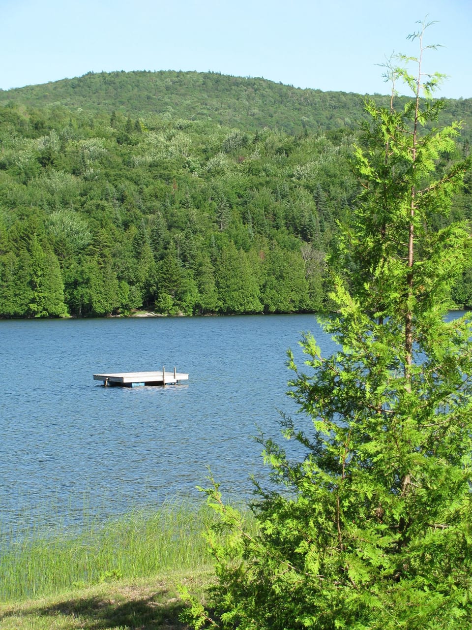 Swim to the floating dock, and let your cares drift away!