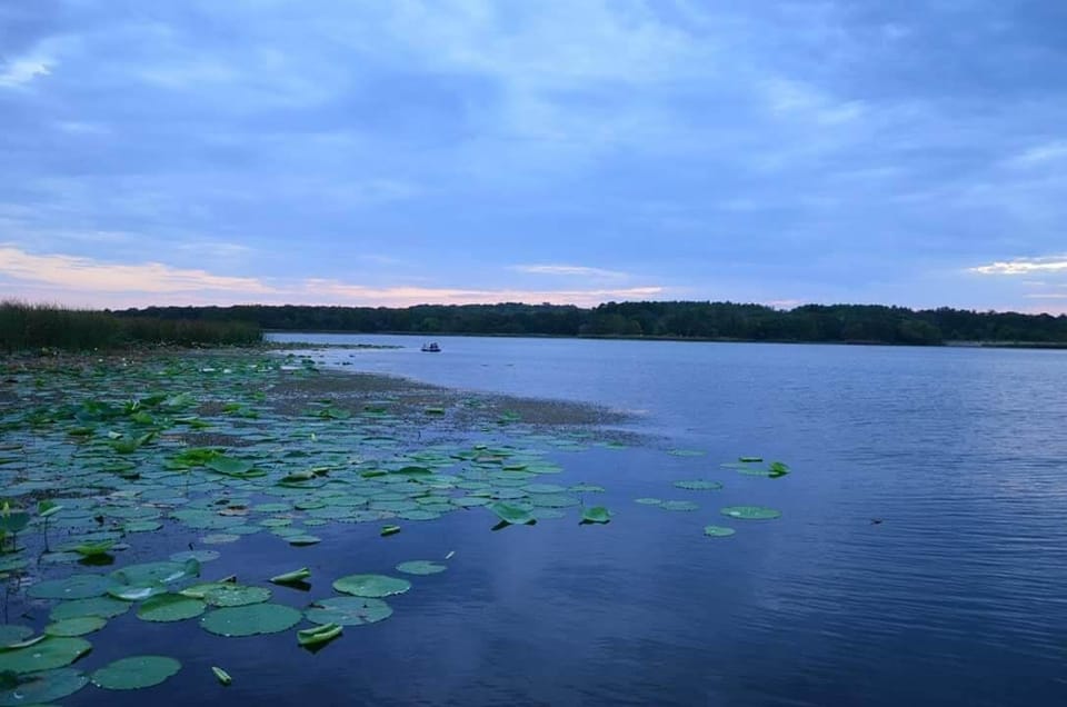 Davey Crockett Lake - short drive