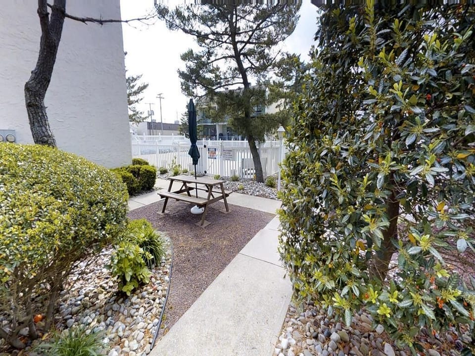 garden