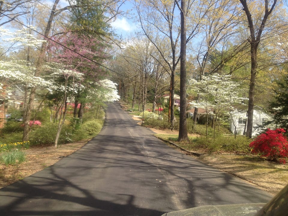 Leighton Road in Spring!