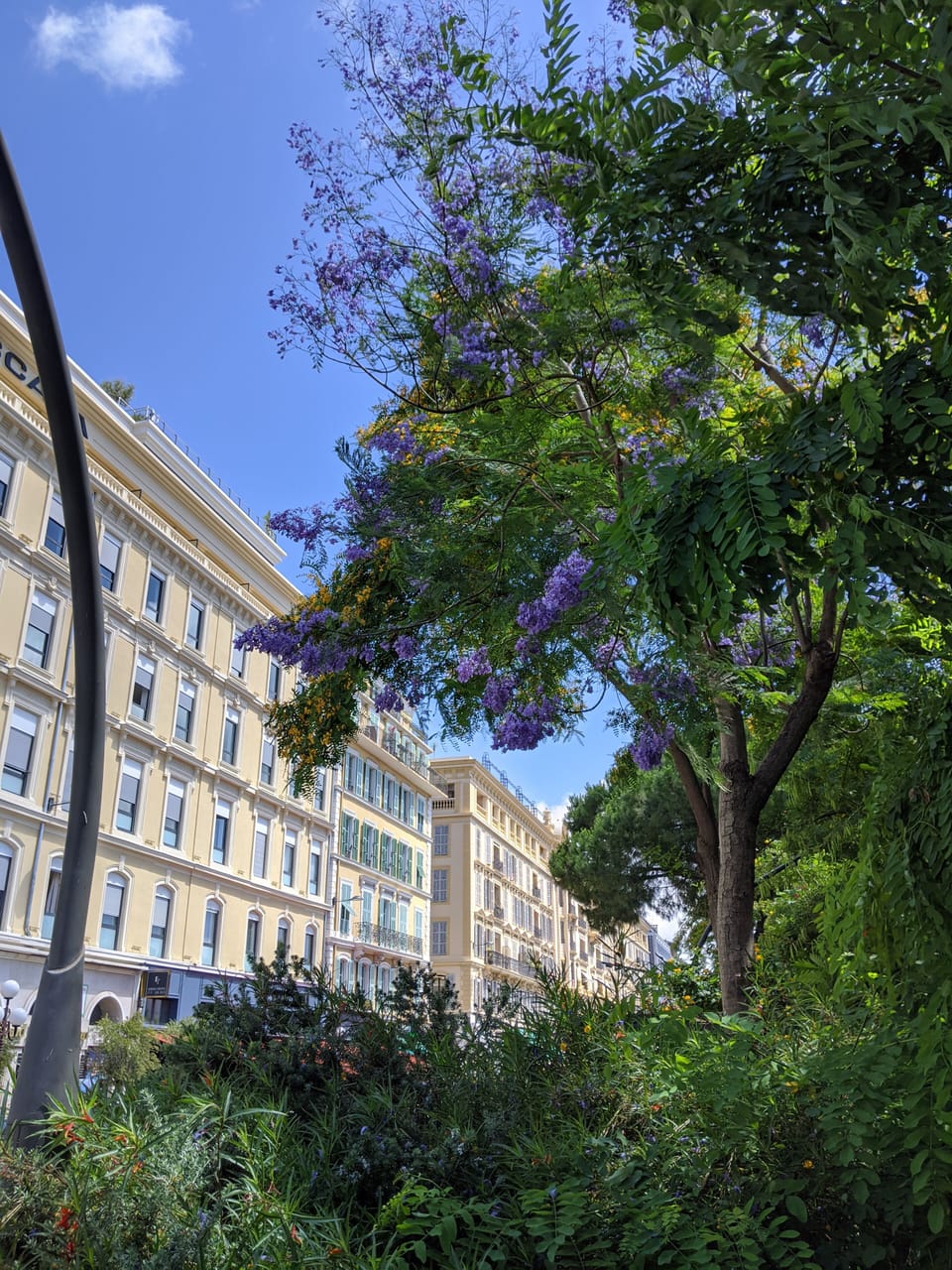 Jardins du Paillon (Coulée verte)