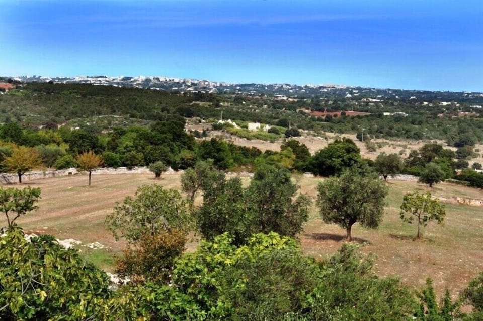 The stunning Puglian countryside