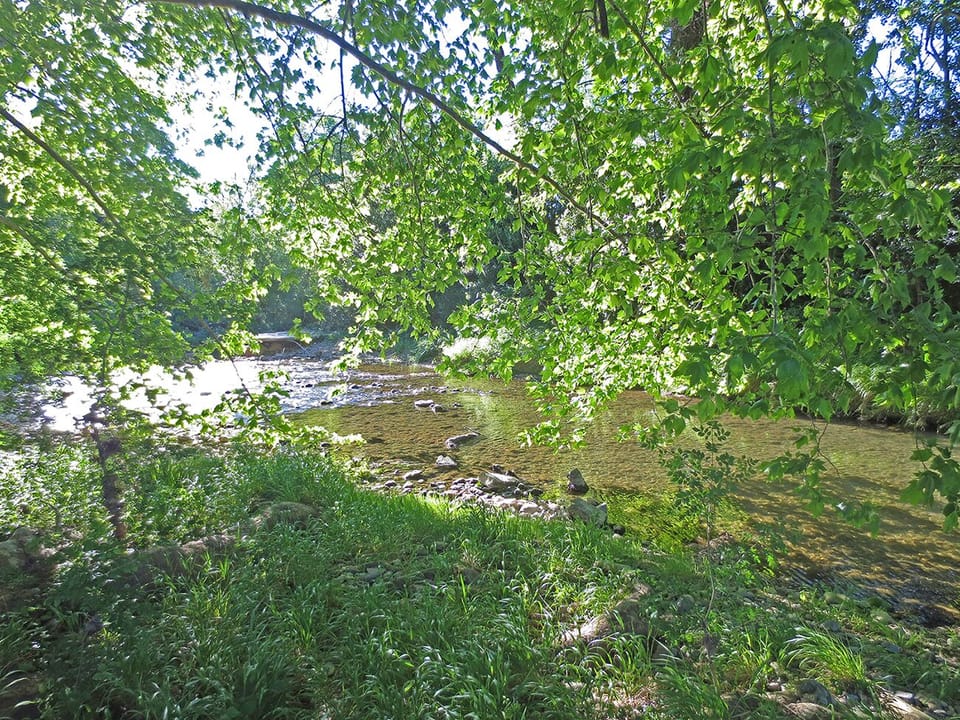 The River Boyne at Saint Ferreol