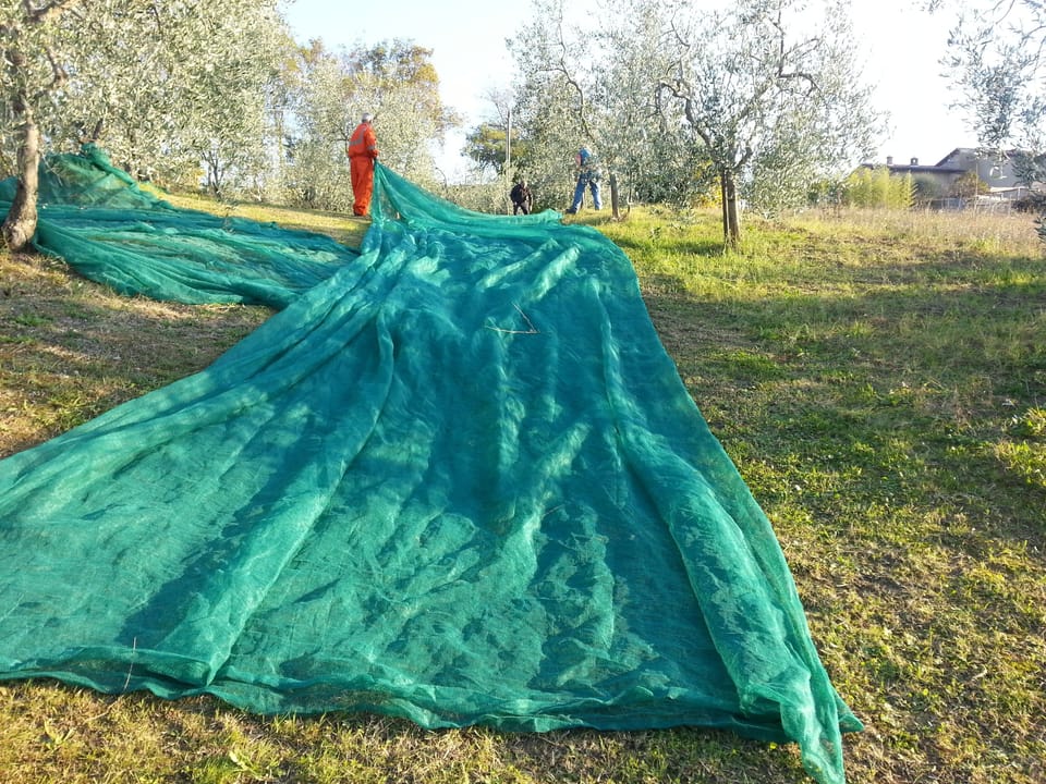 "Sunflower 4" Romantic for two Apartment in Tuscany