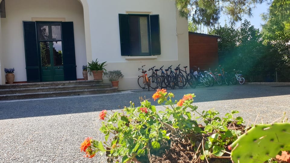 Biciclette per adulti e bambini.