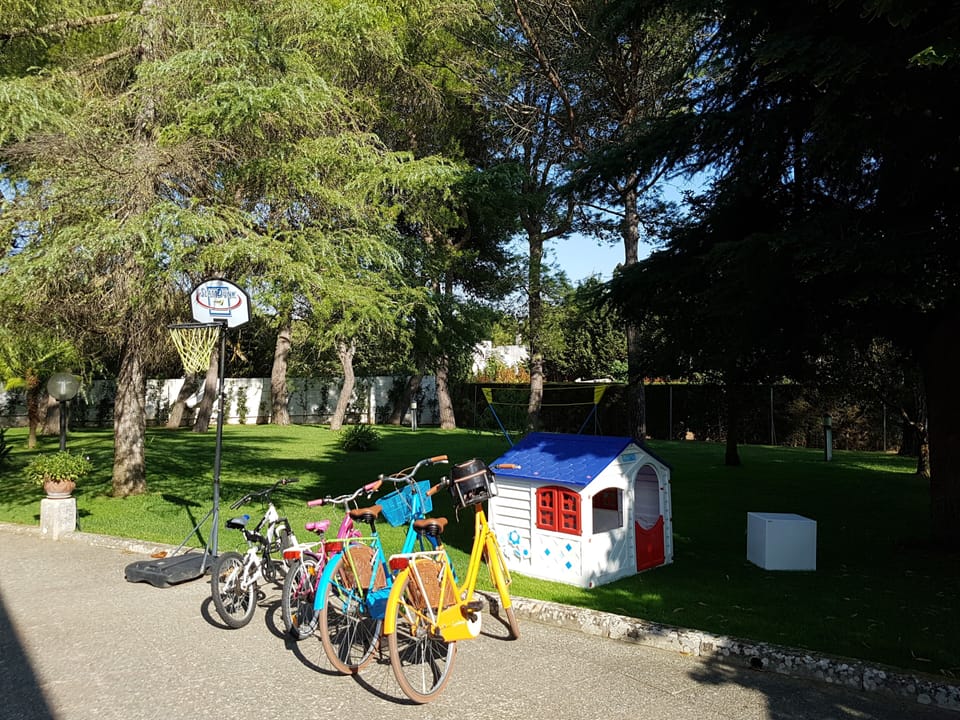 Summer 2016: garden, bike, mini volleyball, little house...