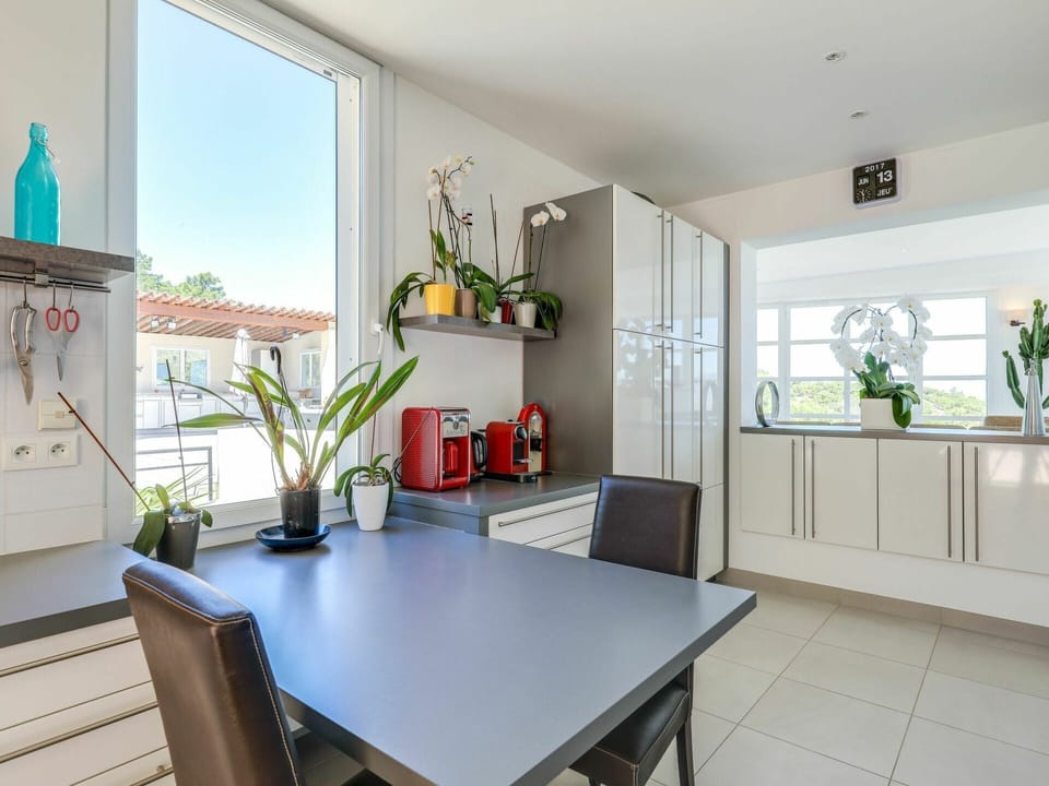 Plant, Property, Cabinetry, Table, Furniture, Countertop, Green, Window, Blue, Houseplant