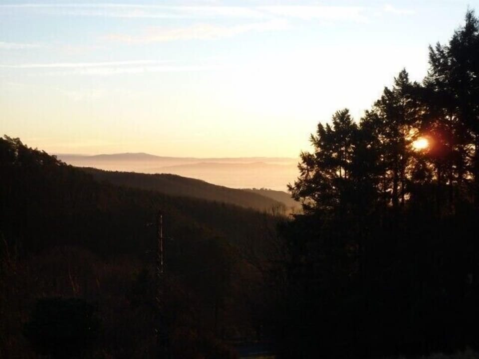 GITE IN THE NATURE BETWEEN VINEYARD AND MOUNTAIN IN THANNENKIRCH Apartment in Ribeauvillé