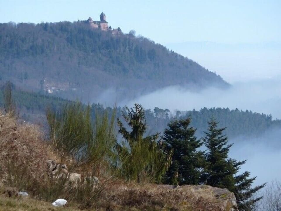GITE IN THE NATURE BETWEEN VINEYARD AND MOUNTAIN IN THANNENKIRCH Apartment in Ribeauvillé