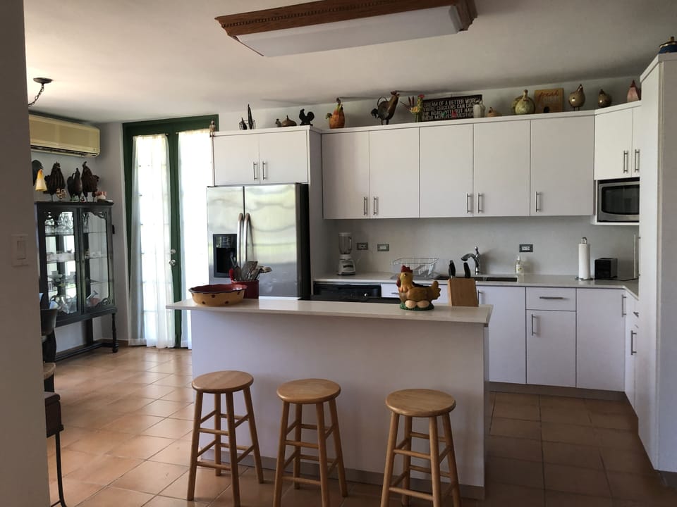 The kitchen