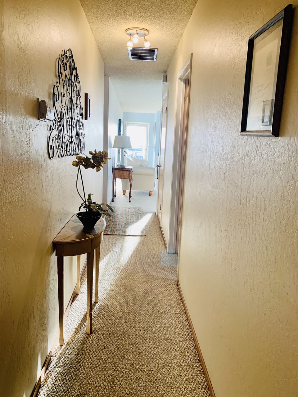Hallway to living room, kitchen, and bedrooms