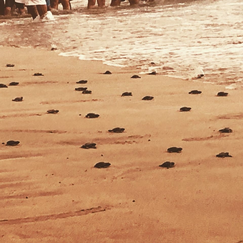 Ixtapa
