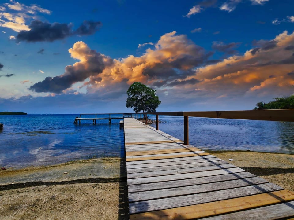 Our Dock