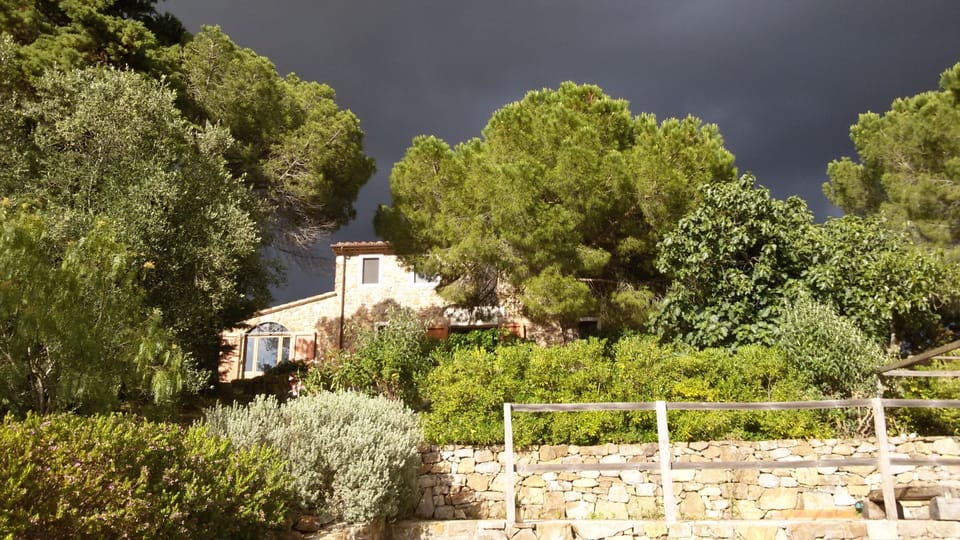 The casale is well hidden between the trees at the top of the hill. 