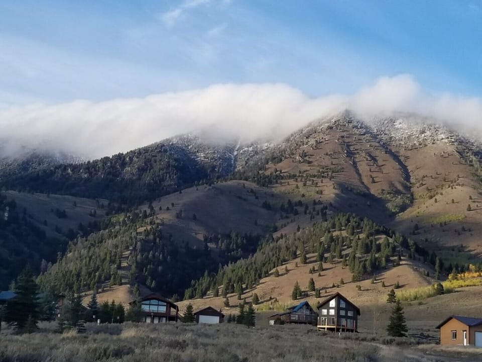 View from Back Porch