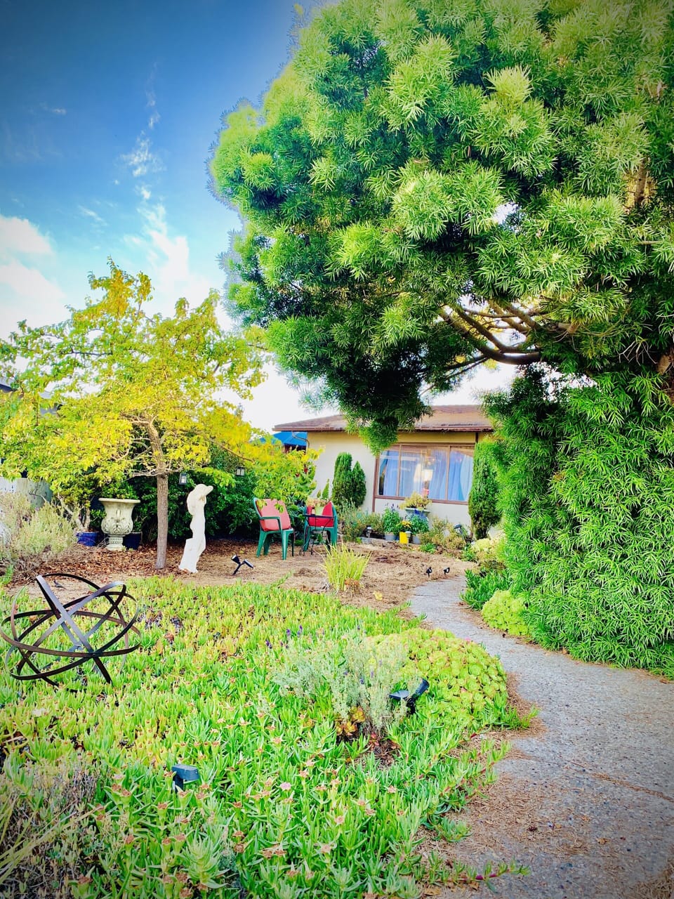 Front yard- walking up to the front door