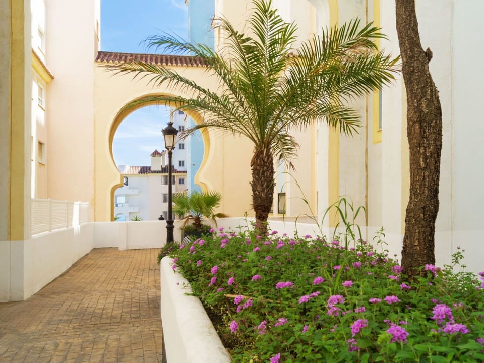 Property, Plant, Tree, Building, Palm Tree, Real Estate, Wall, Arecales, Hacienda, Flower