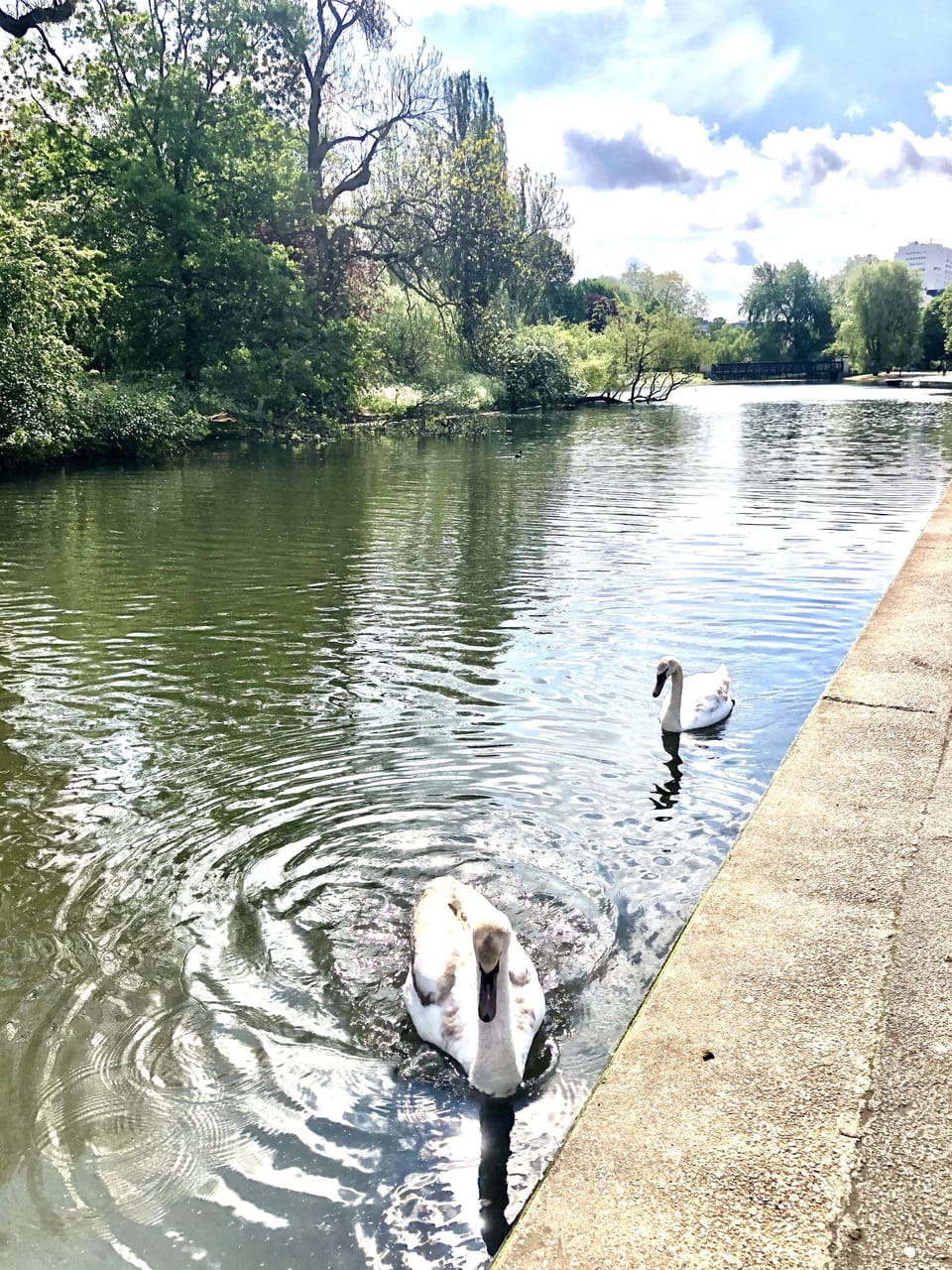 Regents Park Lake
