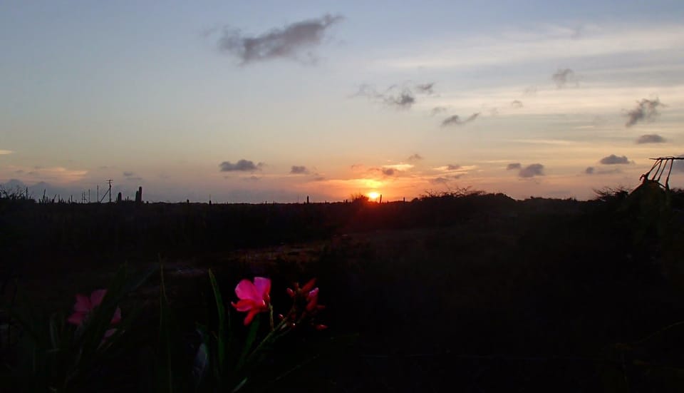 Western view from backyard, a few minutes later