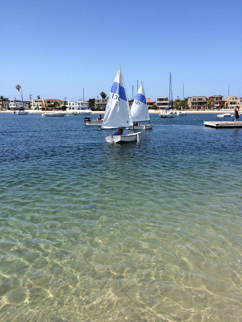 Mission Bay sailing