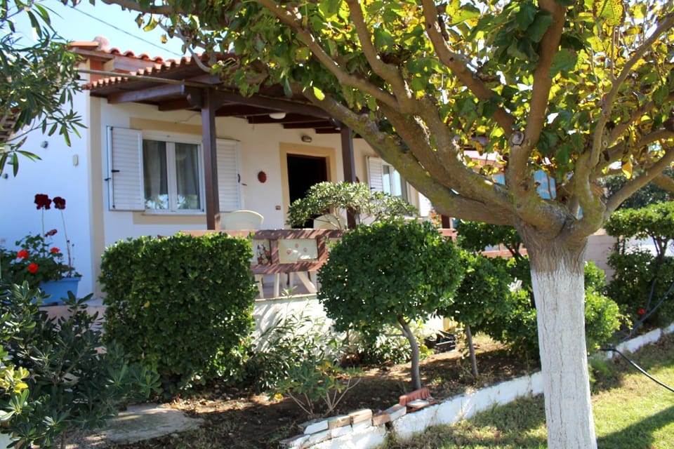 Main view