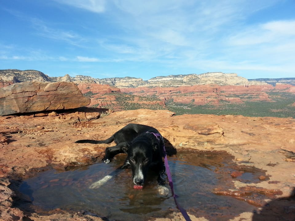 Pet friendly Sedona