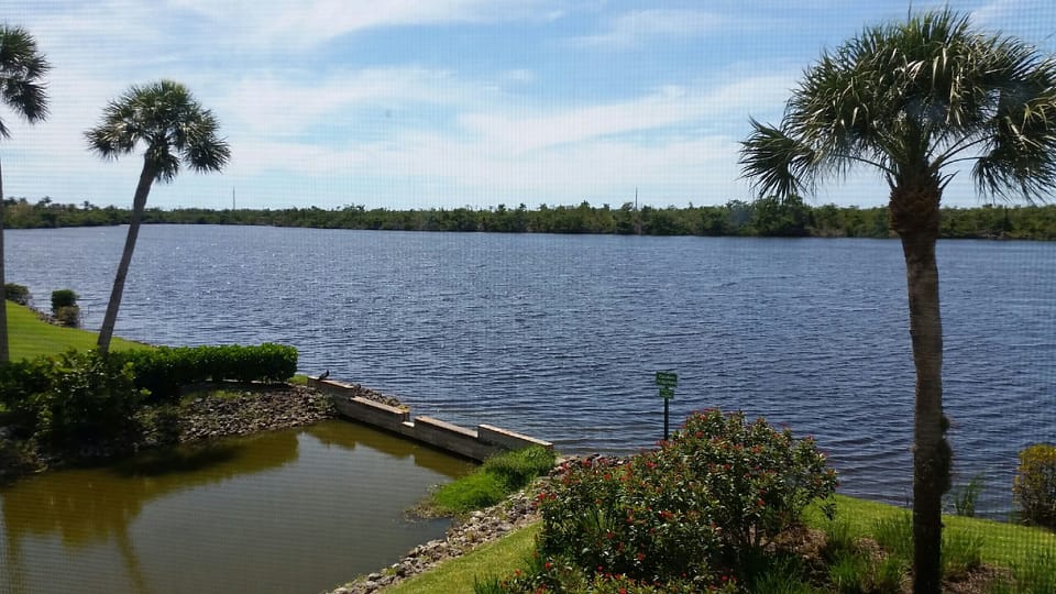 View from lanai