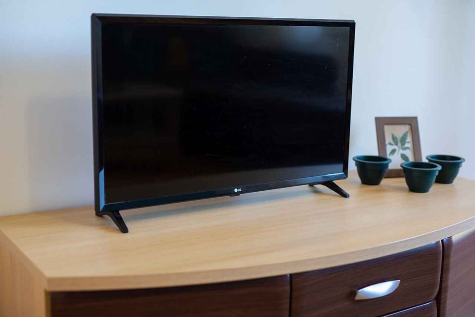 Television