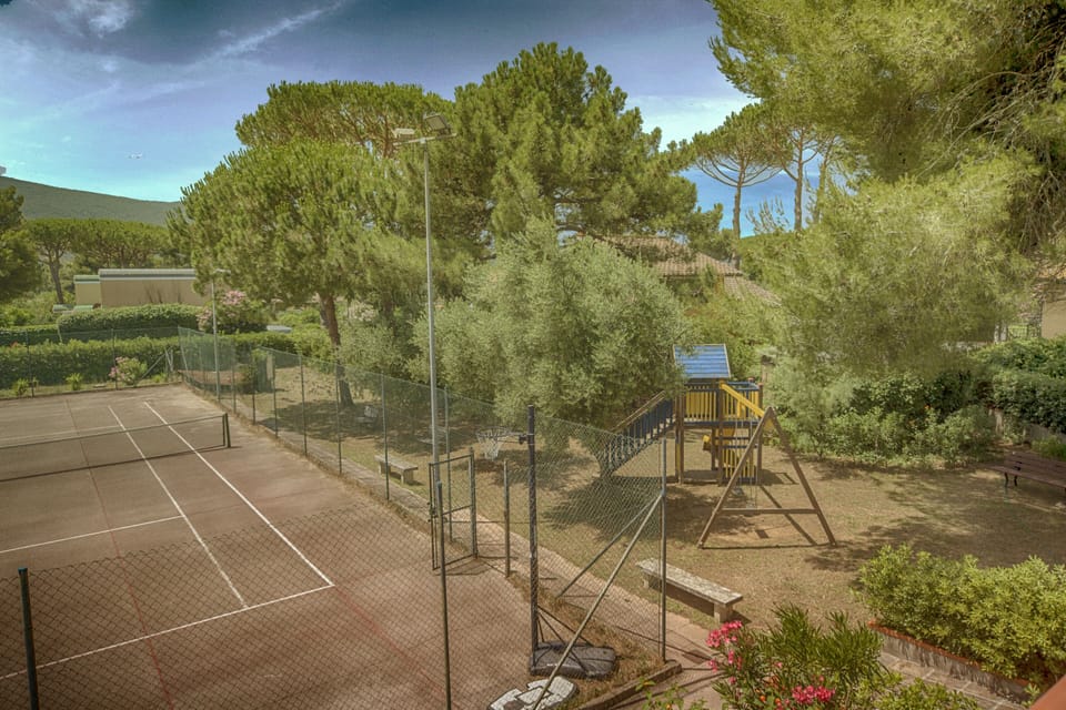 Sport court