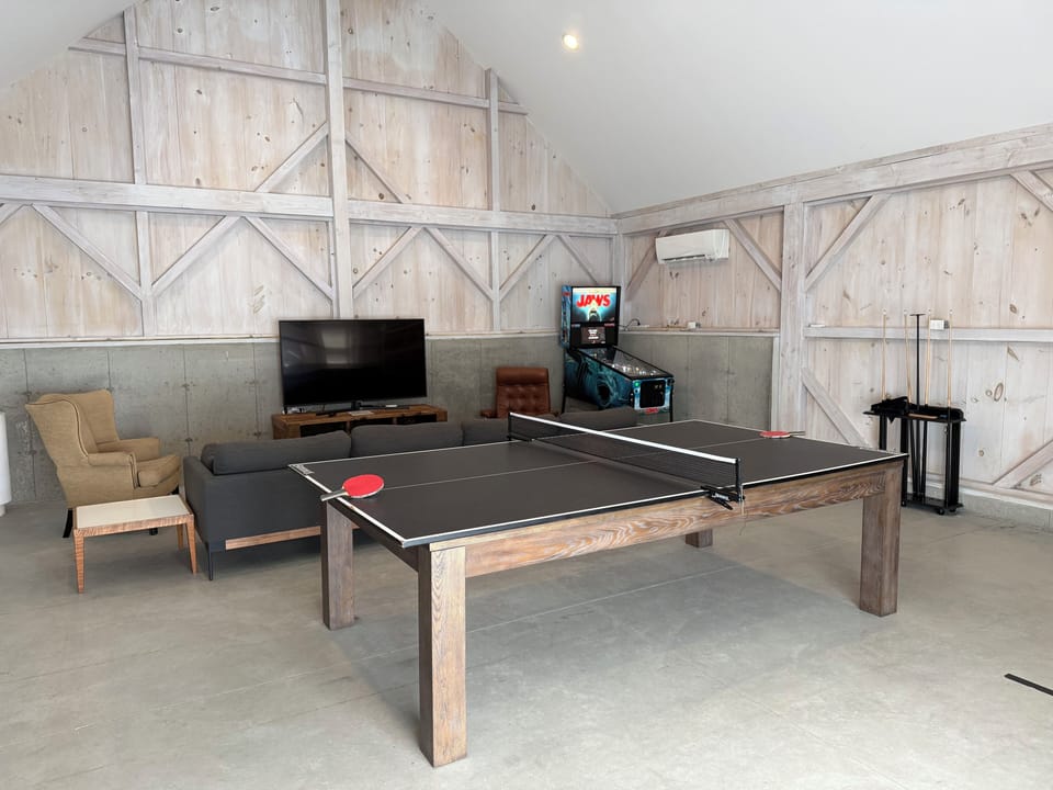 Game room with ping-pong, pinball, pool, and lots of streaming services.
