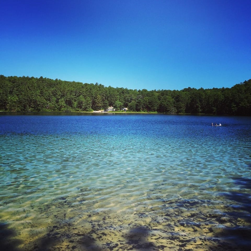 Duck pond, a 15 minute walk or 5 minute drive away.