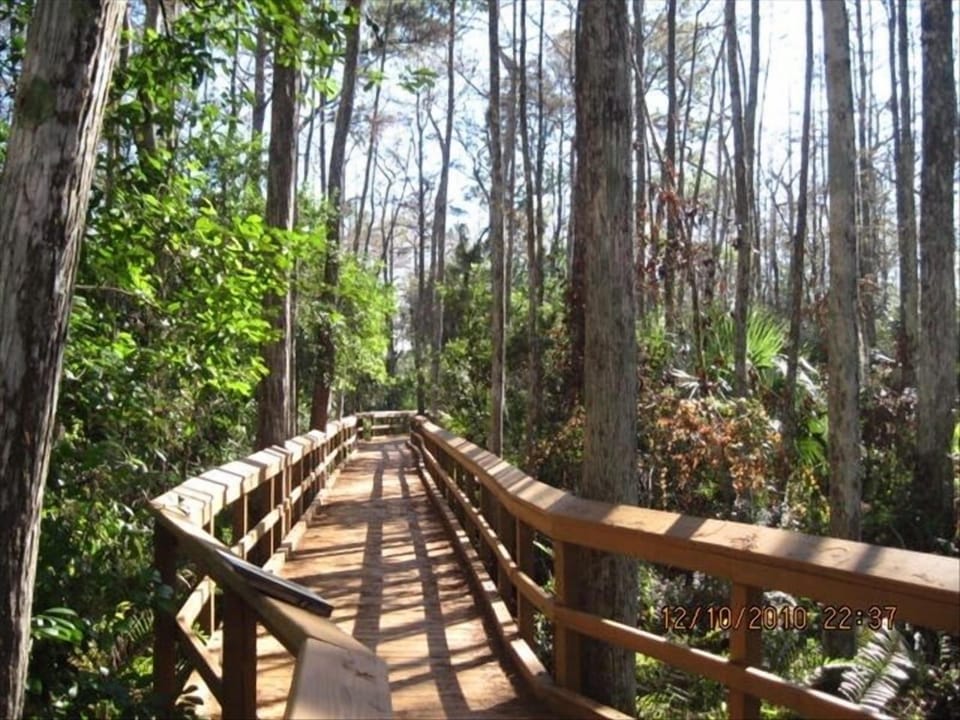 Walking trails