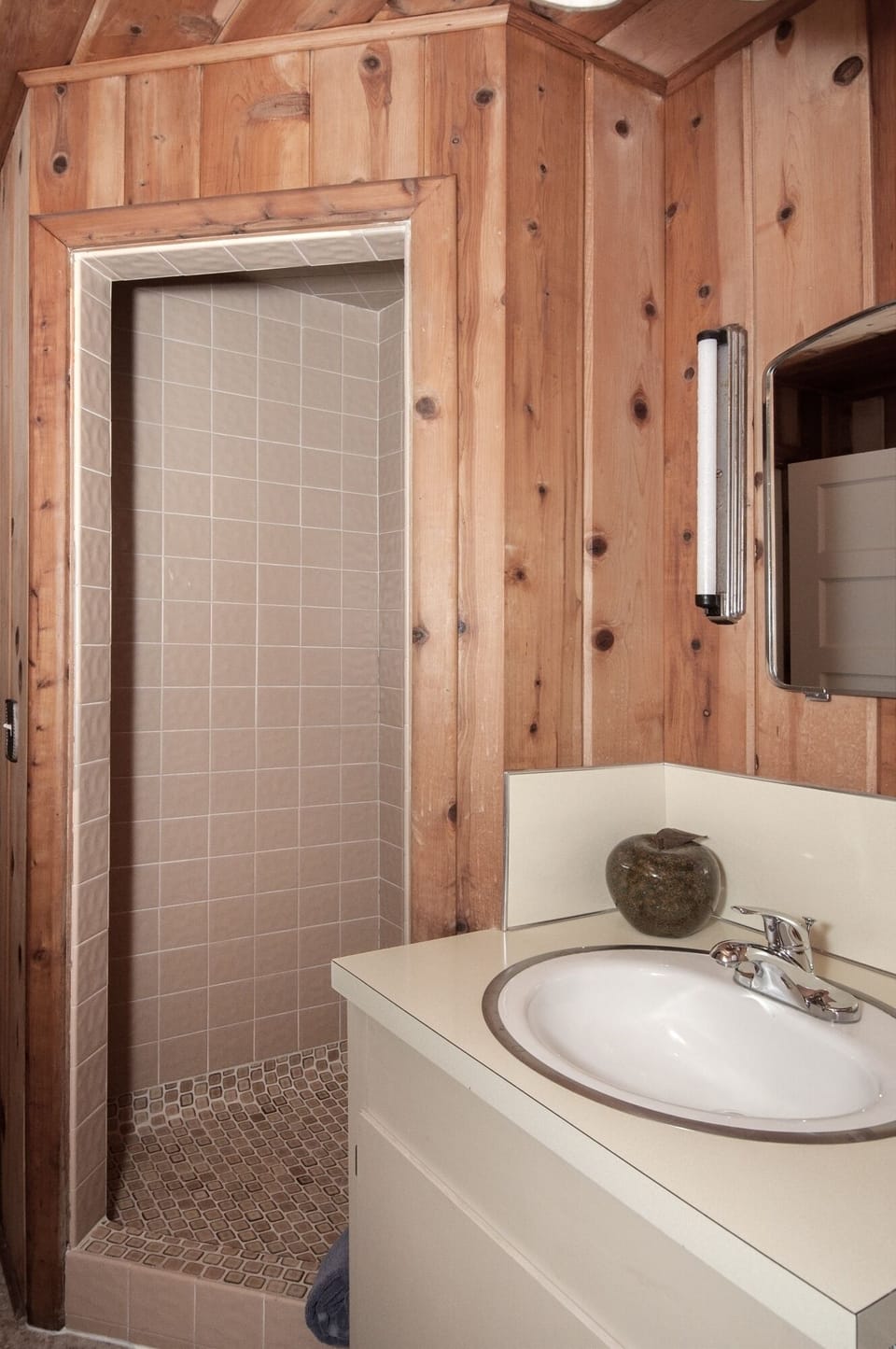 lower floor guest bath with shower