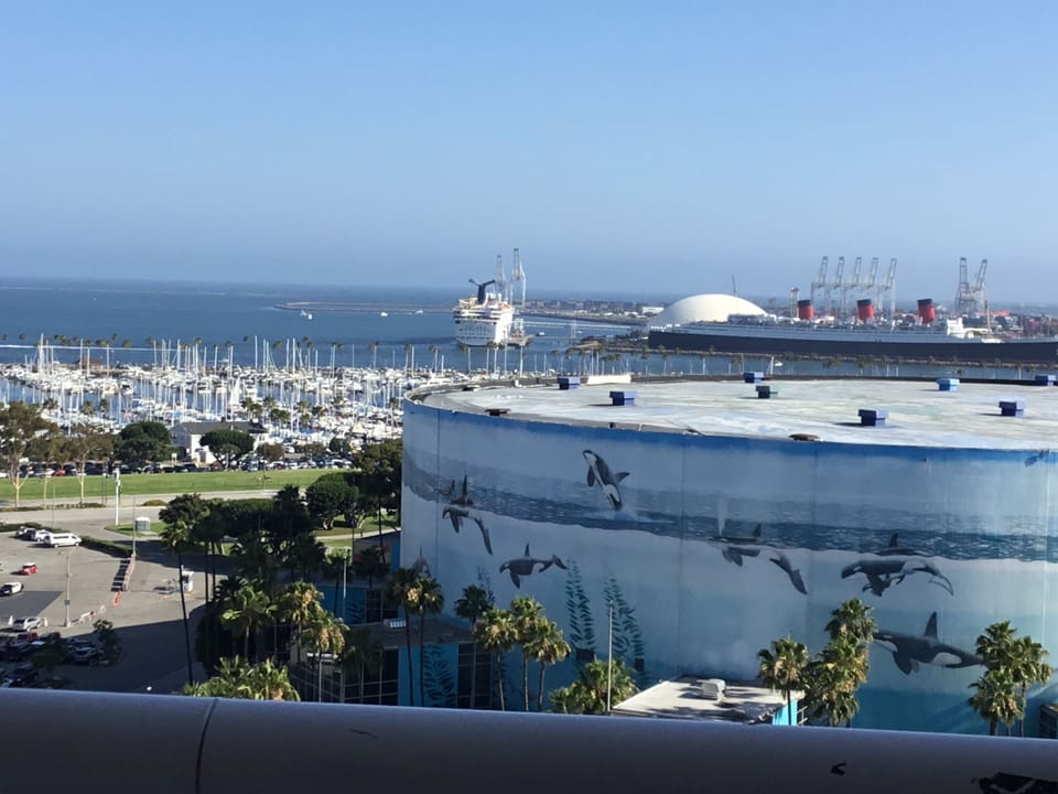 This is your normal day-today view from balcony #1