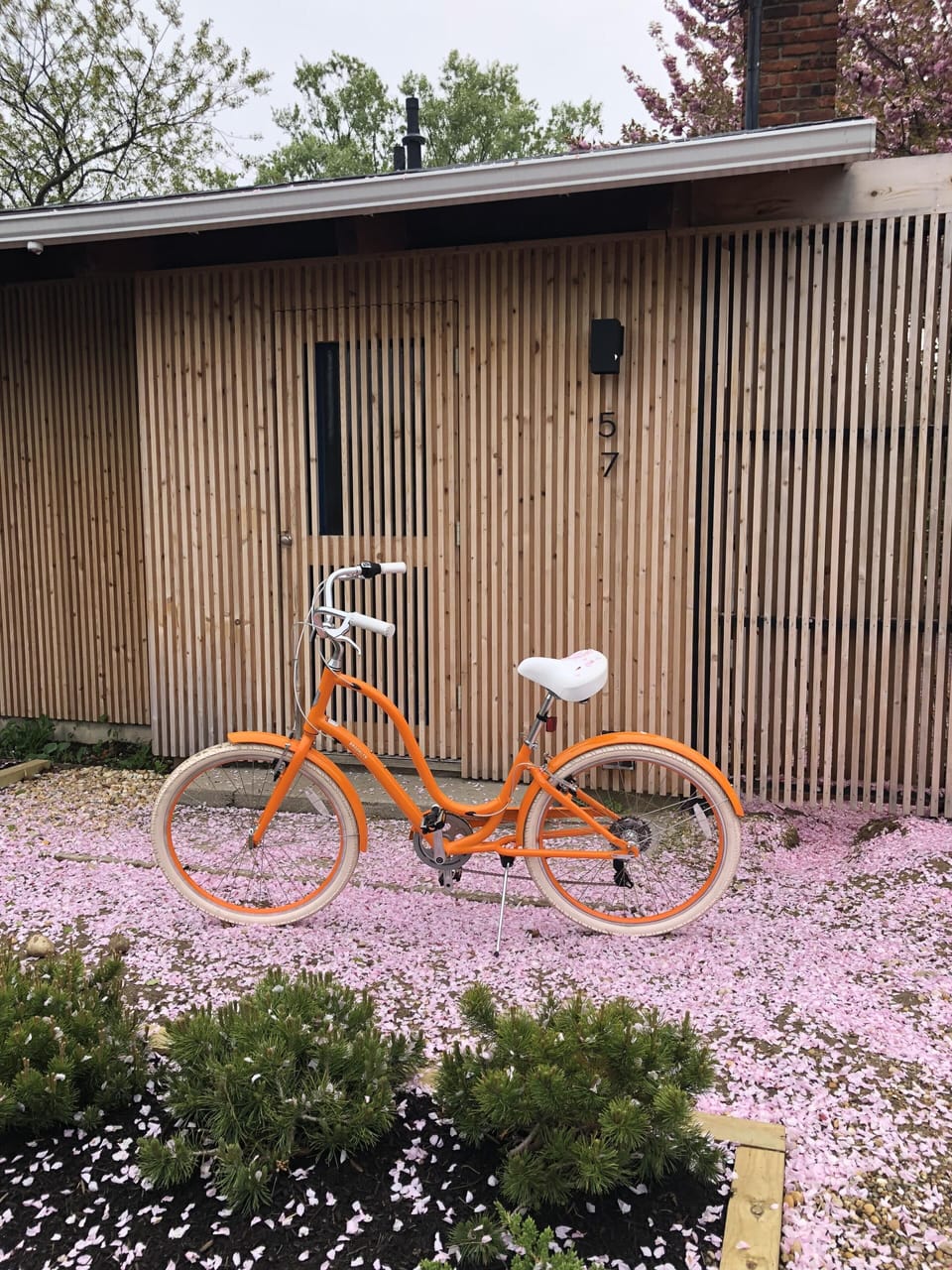 Dutch style cruisers for guest use. 